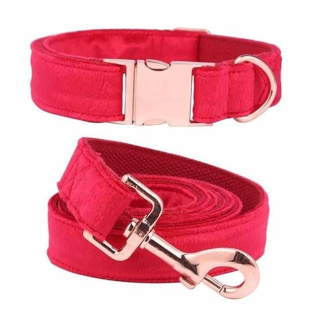 Velvet Collar and Leash