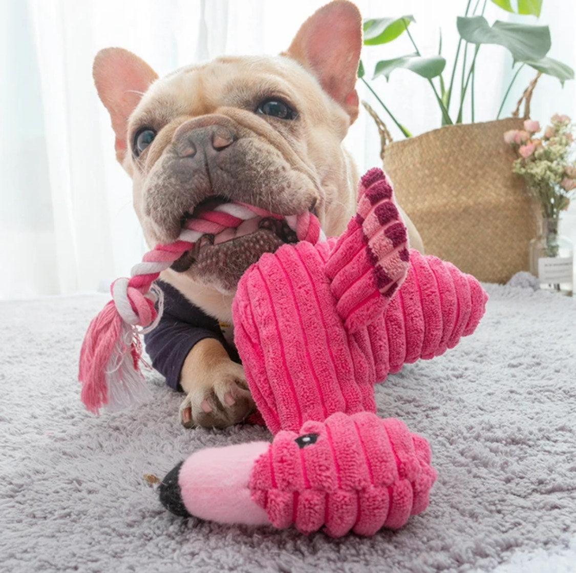 Flamingo plush toy with squeaker